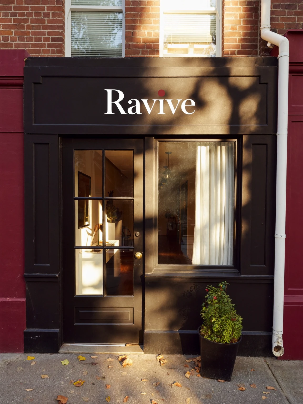 Façade noire de l’atelier Ravive, enseigne blanche au-dessus d’une porte vitrée et d’une vitrine à rideau blanc, dans la lumière de fin d’après-midi.